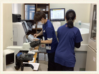 長谷川病院　診療